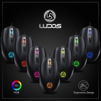 LUDOS FLAMMA Gaming Ergonomik Mouse