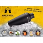 LEMONSODA 8 Para Paslanmaz elik Shaker Set