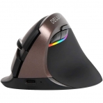 DELUX Bluetooth Vertical Ergonomik Mouse (Siyah)