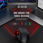 Jelly Comb 2.4GHz Wireless Trackball Mouse(Siyah/Krmz)