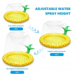 Ancesfun Sprinkler ocuk ime Su Oyun Mat (Ananas)(170cm)