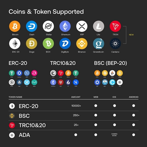 SecuX V20 Bitcoin Kripto Para Czdan (Cold Wallet)