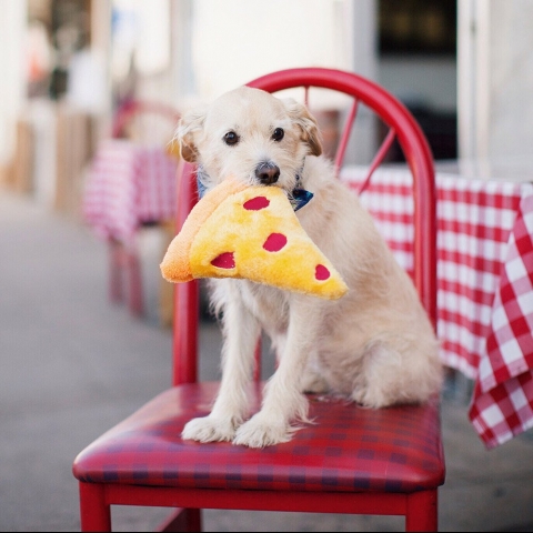 ZippyPaws Pelu Pizza Kpek Oyunca