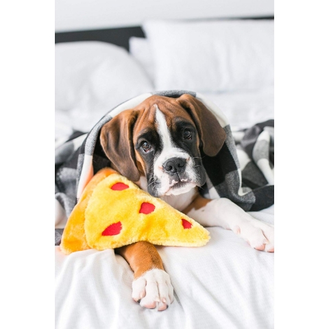 ZippyPaws Pelu Pizza Kpek Oyunca