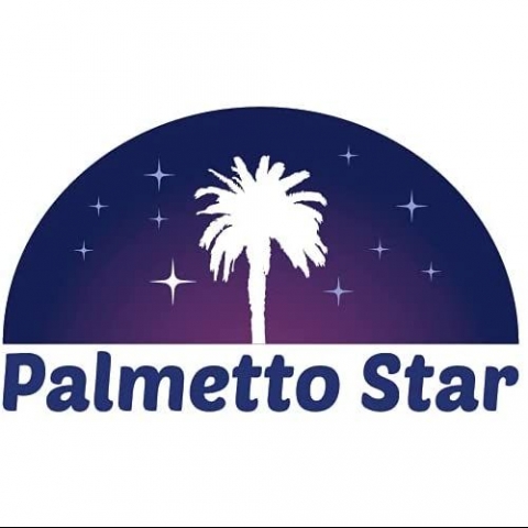 Palmetto Star Seramik Bardak Altl(Lacivert/Sar, 4 Adet)