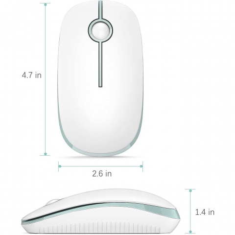 Jelly Comb 2.4G Wireless Mouse (Beyaz/Mint)