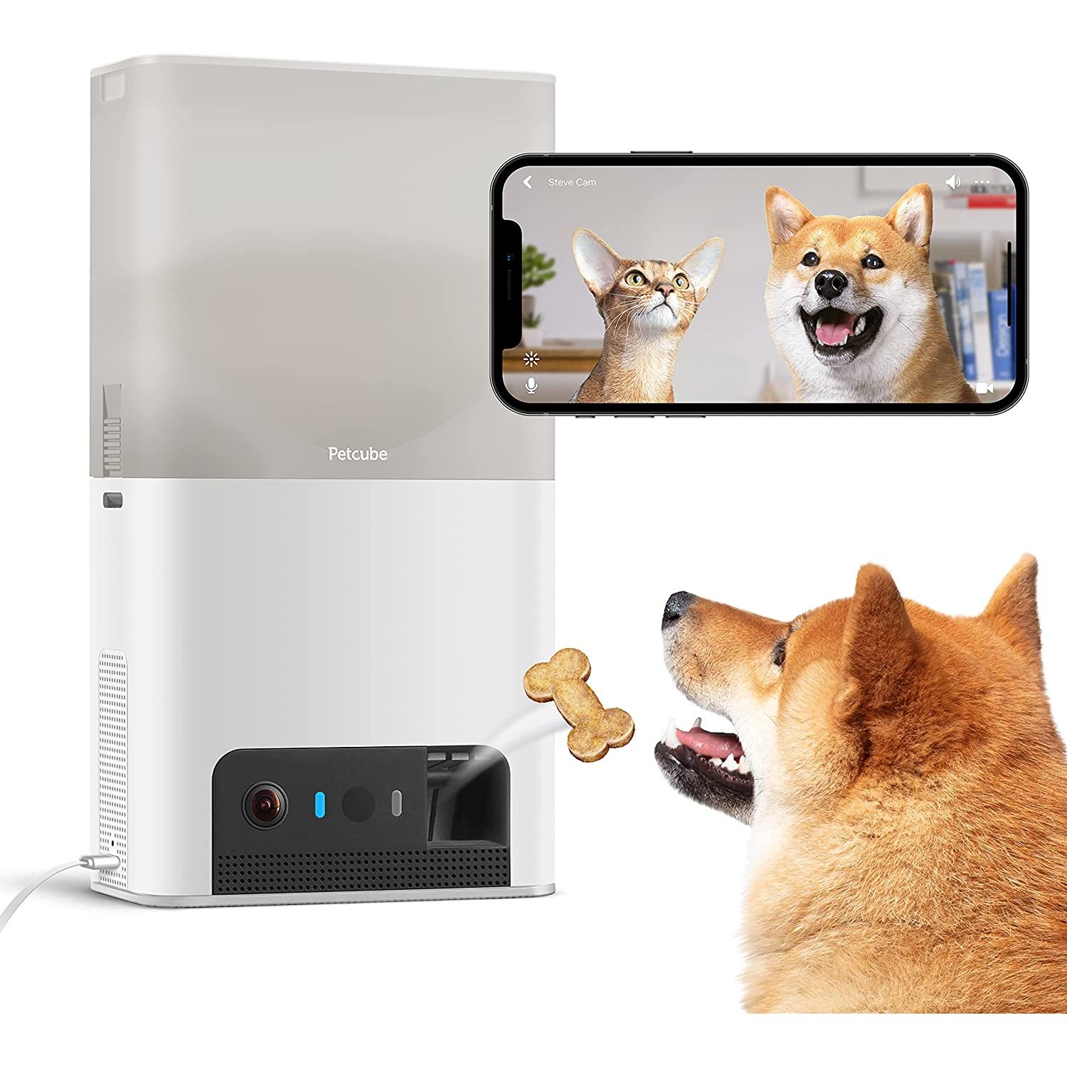 Petcube wifi 2025