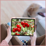 Fintie Hybrid Slim iPad Air Klf(11 in)-coquette cherries