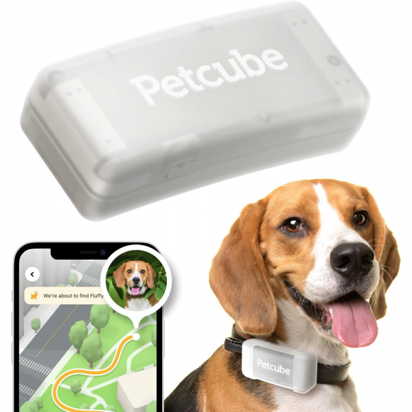 Petcube Kpekler in GPS Akll Takip Cihaz