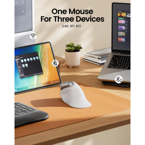 ProtoArc Bluetooth Vertical Ergonomik Mouse-White